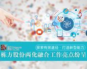 探索有效途徑，打造新型能力——棟方股份兩化融合工作亮點(diǎn)紛呈