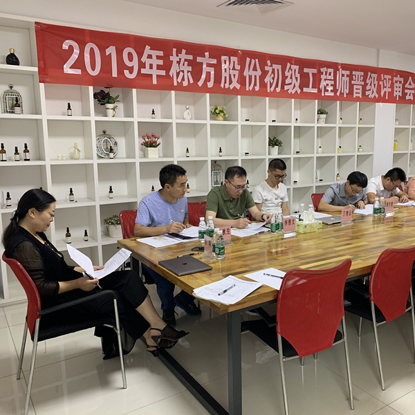 匠心筑夢，人才培養(yǎng)丨棟方股份2019初級工程師晉級評審會順利舉行